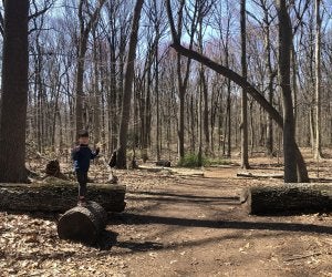 Alley Pond hike. Diana Kim